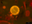 LLAMS_fluorescence-microscopy.png