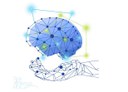 Hands-on Course on MINDLAB: Manipulating and Investigating Neural Dynamics for Learning and Ageing in the Brain, 12-15 November 2024, Castelldefels/Barcelona, Spain