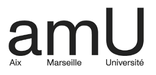 Laser Process and Technology Engineer H/F, Aix Marseille Universite, Marseille, France (Beginning Before 31.10.2026)