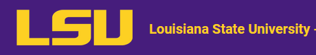 Postdoc position in ultrafast AMO theory, LSU, USA (Deadline: 17.02.2026)
