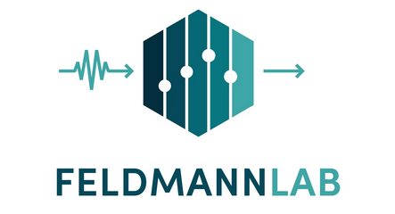 Postdoc position in Transient spectroscopy of emerging single-photon emitters, Feldmann Lab, EPFL, Lausanne, Switzerland  (Deadline: 31.12.2025)