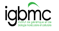 Postdoc position in Protein modeling and Molecular dynamics simulations,Toulouse France (Deadline: 20.12.2025)